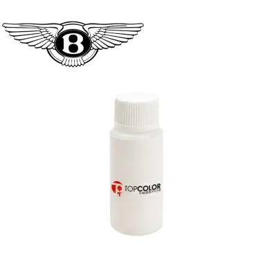 touch up bentley